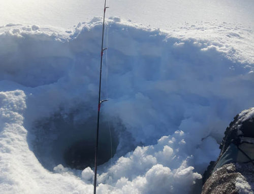 NorOnt Fishing – Winter Gear Edition